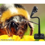 Máy chiếu vật thể Máy chiếu vật thể